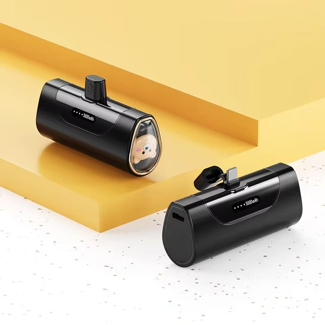 Compact 5000mAh power bank for fast charging, perfect for smartphones and USB-powered devices, portable for travel or daily use.